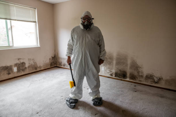 Crawl Space Mold Removal in Mound City, MO